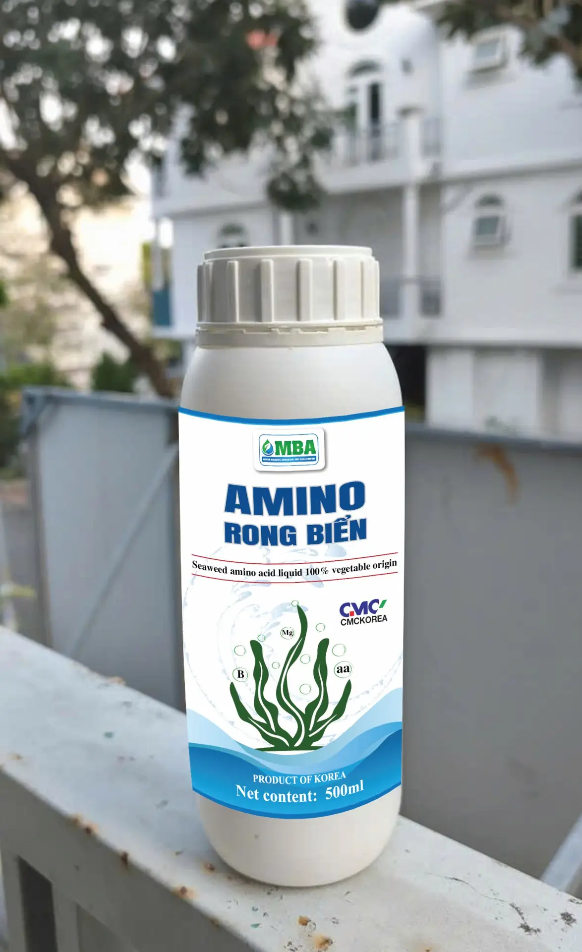 AMINO RONG BIỂN AMINO RONG BIỂN