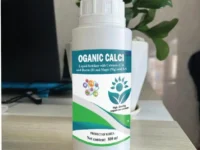 ORGANIC CALCI – CANXI HỮU CƠ