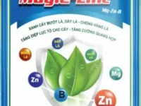 magie zinc