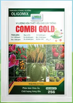 combi combi